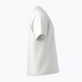 Herren-Shirt Arcteryx Kragg Cotton Emblem Crew SS white light 11