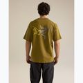 Herren-Shirt Arcteryx Kragg Cotton Logo SS bracken 3