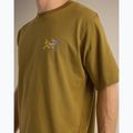 Herren-Shirt Arcteryx Kragg Cotton Logo SS bracken 7