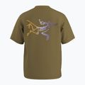 Herren-Shirt Arcteryx Kragg Cotton Logo SS bracken 9
