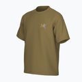 Herren-Shirt Arcteryx Kragg Cotton Logo SS bracken 10