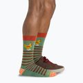 Socken Herren Darn Tough Animal Haus willow 5