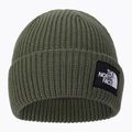 The North Face Salty Dog Mütze grün NF0A3FJWNYC1 2