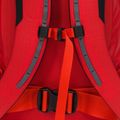 Arc'teryx Herren Kletterrucksack Alpha FL 30 l rot 25804 5