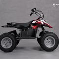 Razor Dirt Kinder Quad schwarz 25186501 10