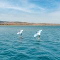 Aztron Soar 4.0 Tragfläche für Wingfoil 5