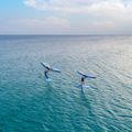 Aztron Soar 4.0 Tragfläche für Wingfoil 6