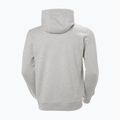 Herren Hoodie Sweatshirt Helly Hansen HH Logo Hoodie grey/melange 2