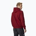 Herren Helly Hansen HH Logo Hoodie weinrot 33977_215 2