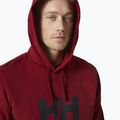 Herren Helly Hansen HH Logo Hoodie weinrot 33977_215 3