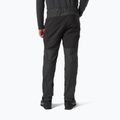 Helly Hansen Herren-Trekkinghose Verglas Tur 980 grau 63000 2