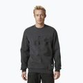 Herren Helly Hansen Arctic Ocean Pullover grau 30364_980