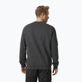 Herren Helly Hansen Arctic Ocean Pullover grau 30364_980 2