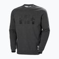 Herren Helly Hansen Arctic Ocean Pullover grau 30364_980 4
