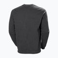 Herren Helly Hansen Arctic Ocean Pullover grau 30364_980 5