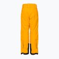 Helly Hansen Kinder-Skihose Elements gelb 41765_328 2