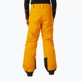 Helly Hansen Kinder-Skihose Elements gelb 41765_328 7