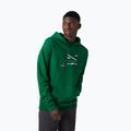 Herren-Trekking-Sweatshirt Helly Hansen F2F Organic Cotton Hoodie 486 grün 62934 3
