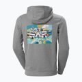 Helly Hansen Herren-Trekking-Sweatshirt F2F Organic Cotton 855 grau 62934 2