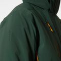 Herren-Skijacke Helly Hansen Alpha 3.0 grün 65551_495 8