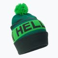 Helly Hansen Ridgeline-Mütze grün 67150_495