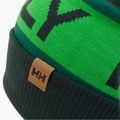 Helly Hansen Ridgeline-Mütze grün 67150_495 3