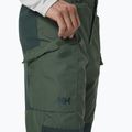 Helly Hansen Herren-Trekkinghose Vandre Tur grün 62698_476 3
