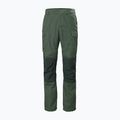 Helly Hansen Herren-Trekkinghose Vandre Tur grün 62698_476 6