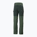Helly Hansen Herren-Trekkinghose Vandre Tur grün 62698_476 7