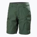 Helly Hansen Herren Vandre Cargo grün Trekkingshorts 62699_476 5