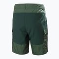 Helly Hansen Herren Vandre Cargo grün Trekkingshorts 62699_476 6