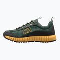 Helly Hansen Herren Wanderschuhe Venali grün 11870_495 12