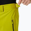 Helly Hansen Legendary Insulated helles Moos Herren Skihose 3