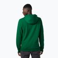 Herren-Trekking-Sweatshirt Helly Hansen F2F Organic Cotton Hoodie malachite 2