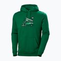 Herren-Trekking-Sweatshirt Helly Hansen F2F Organic Cotton Hoodie malachite 4