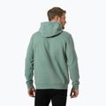 Herren Hoodie Sweatshirt Helly Hansen HH Logo Hoodie cactus 2