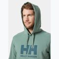 Herren Hoodie Sweatshirt Helly Hansen HH Logo Hoodie cactus 3