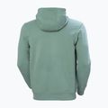 Herren Hoodie Sweatshirt Helly Hansen HH Logo Hoodie cactus 6