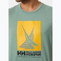 Helly Hansen HP Race Grafik Kaktus Herren-T-Shirt 3