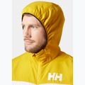 Men's Helly Hansen Salt Striped Windbreaker Segeljacke Gold Rush 3