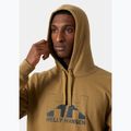 Herren Hoodie Sweatshirt Helly Hansen Nord Graphic Pull Over Hoodie lynx 3