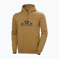 Herren Hoodie Sweatshirt Helly Hansen Nord Graphic Pull Over Hoodie lynx 5