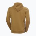 Herren Hoodie Sweatshirt Helly Hansen Nord Graphic Pull Over Hoodie lynx 6