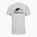 Herren Helly Hansen Nord Grafik grau melang T-shirt 2