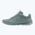 Trekkingschuhe Damen Helly Hansen Vidden Hybrid Low cactus 9