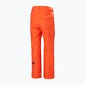 Herren-Skihose Helly Hansen Sogn Cargo cherry tomato 2
