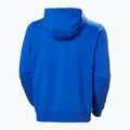 Herren Helly Hansen HH Logo Full Zip Hoodie 2.0 cobalt 2.0 Sweatshirt 5