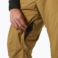Helly Hansen Legendary Insulated lynx Skihose für Herren 4