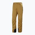 Helly Hansen Legendary Insulated lynx Skihose für Herren 5