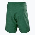 Badeshorts Herren Helly Hansen Newport Boardshorts 8" jungle green 6